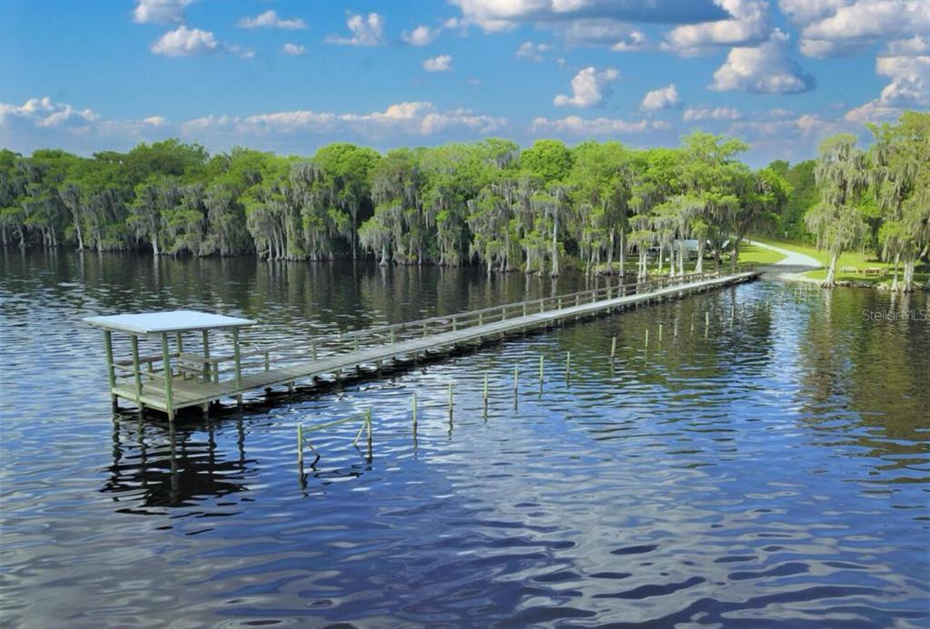 107 Georgetown Pt Road Georgetown, FL 32139 - Photo 7 of 11