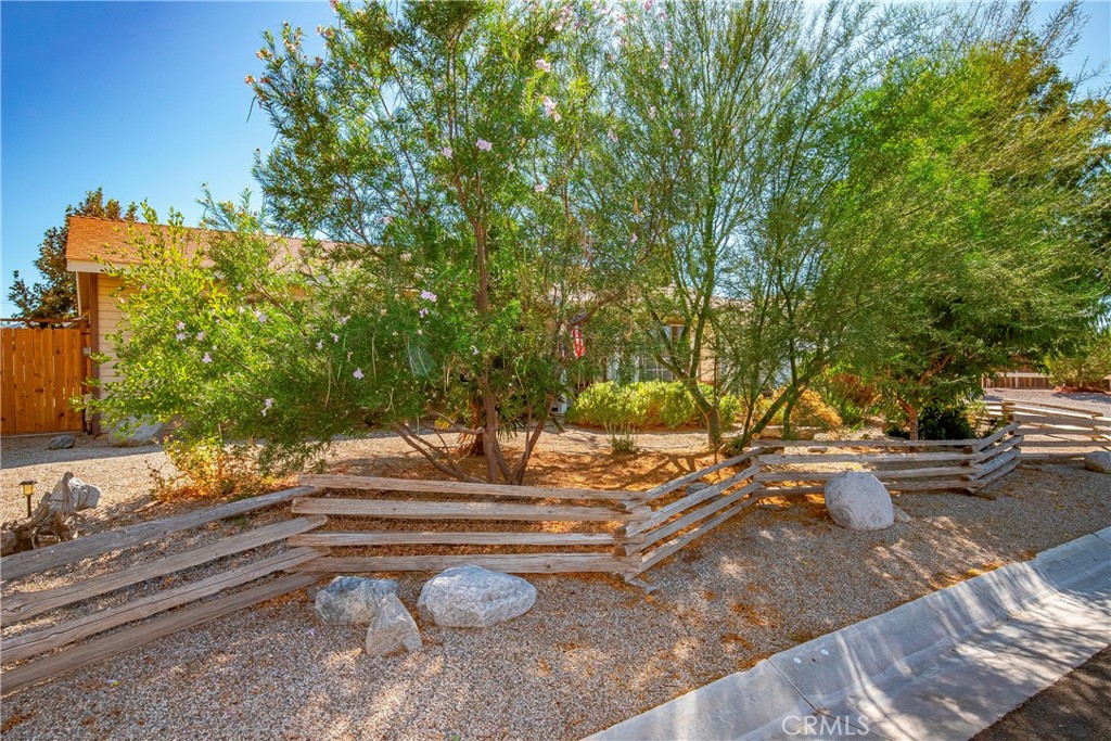 9642 East Ave R 14 Littlerock, CA 93543 - Photo 11 of 66 a view of yard with tree