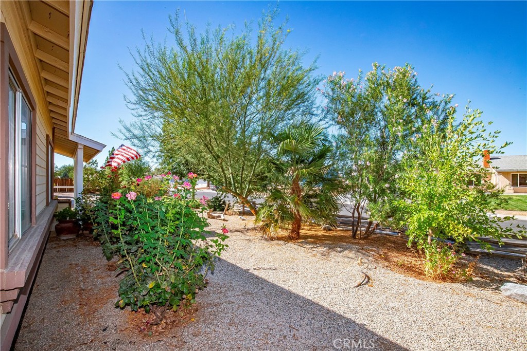 9642 East Ave R 14 Littlerock, CA 93543 - Photo 14 of 66 a view of a yard with plants