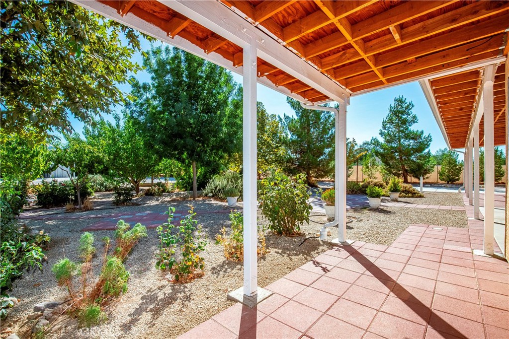 9642 East Ave R 14 Littlerock, CA 93543 - Photo 23 of 66 a view of a backyard with table and chairs potted plants and large tree