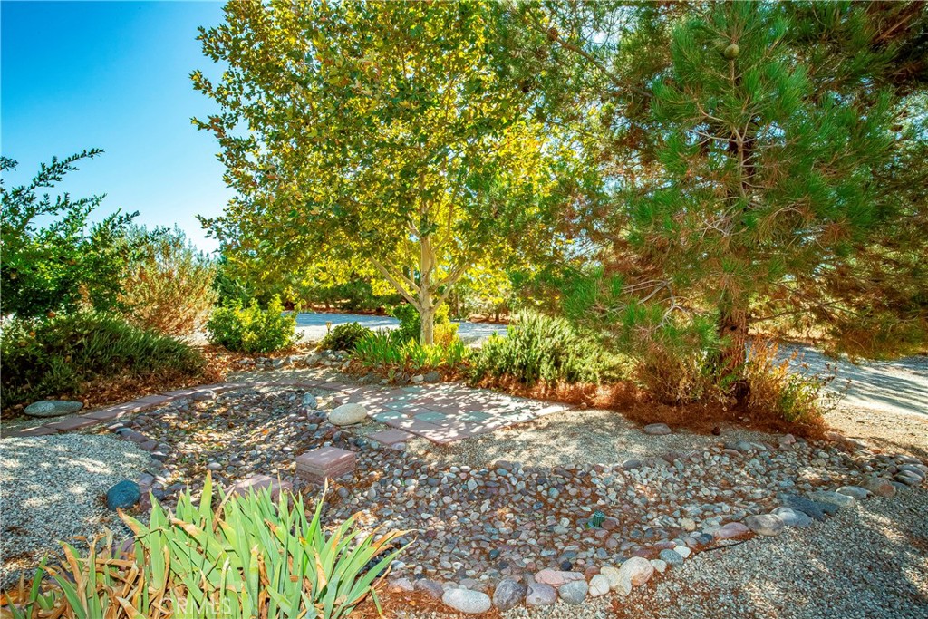 9642 East Ave R 14 Littlerock, CA 93543 - Photo 28 of 66 a backyard of a house with lots of green space