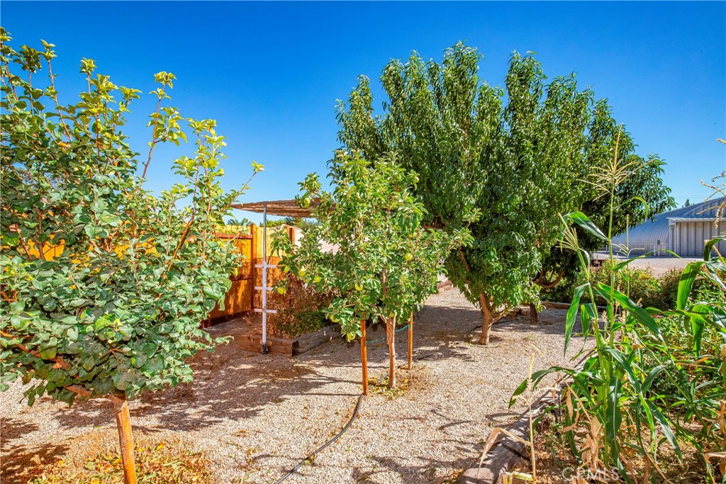 9642 East Ave R 14 Littlerock, CA 93543 - Photo 32 of 66 a backyard of a house with lots of green space