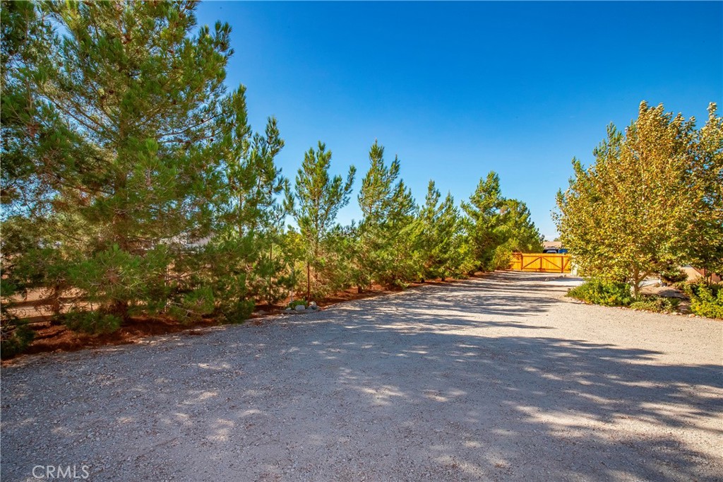 9642 East Ave R 14 Littlerock, CA 93543 - Photo 44 of 66 a view of a yard with a tree