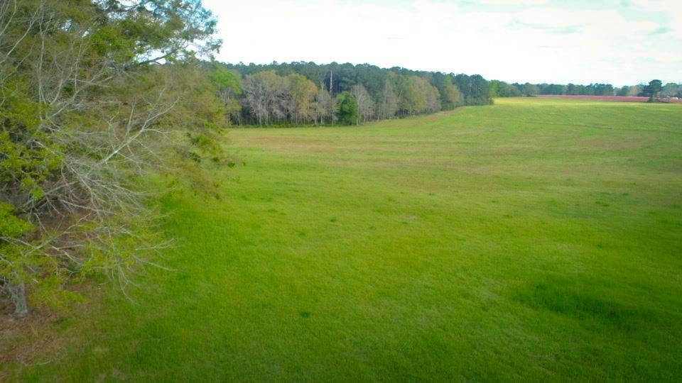 0 Shoemaker Road Andalusia, AL 36421 - Photo 1 of 7 Gallery Image 1