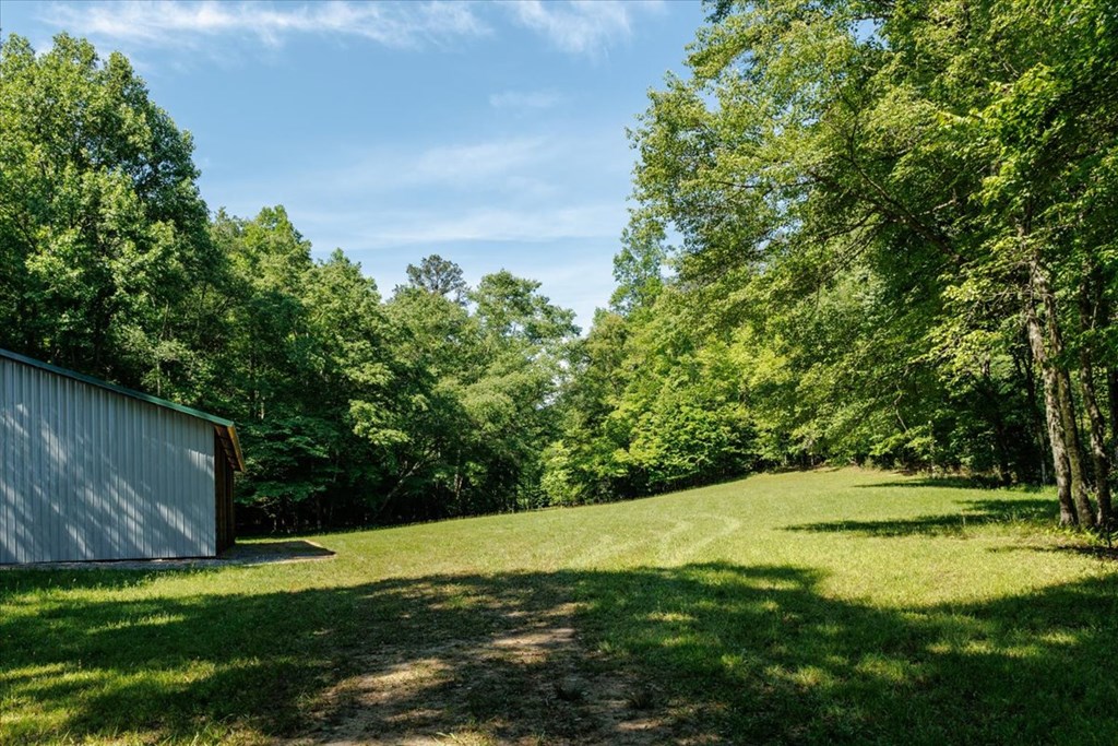 5260 Hardscrabble Road Mineral Bluff, GA 30559 - Photo 37 of 52