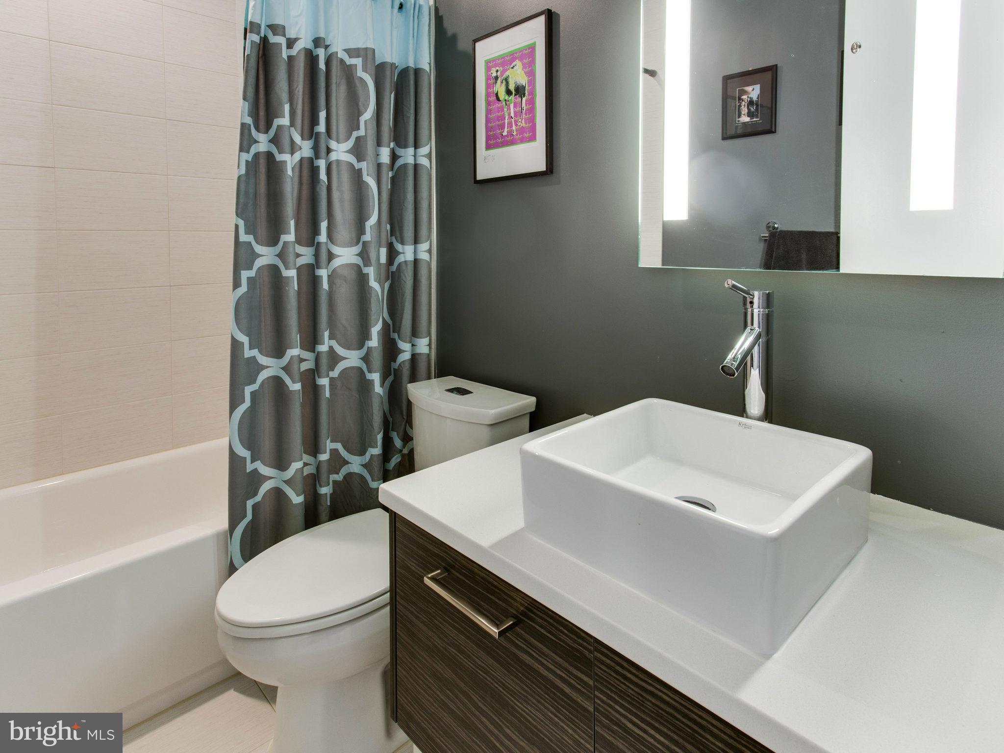 1020 Monroe Street Northwest, Unit 407 Washington, DC 20010 - Photo 20 of 30 Bath
