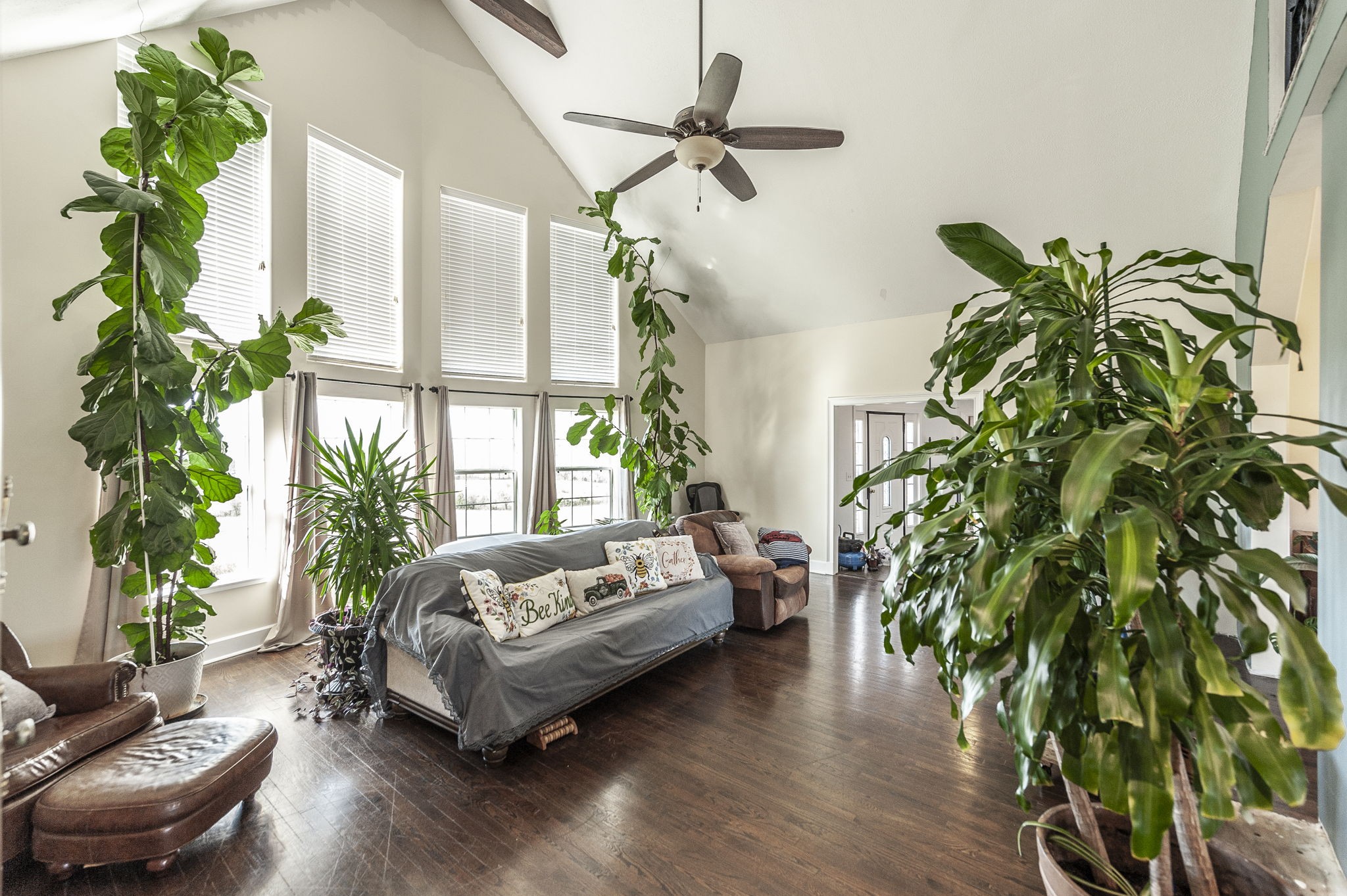 414 B Rock Springs Road Castalian Springs, TN 37031 - Photo 11 of 79 a living room with furniture and a potted plant