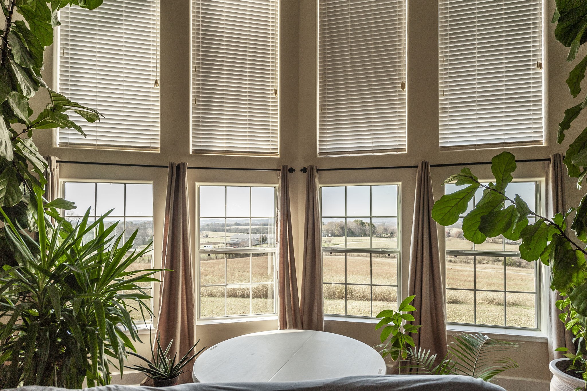 414 B Rock Springs Road Castalian Springs, TN 37031 - Photo 13 of 79