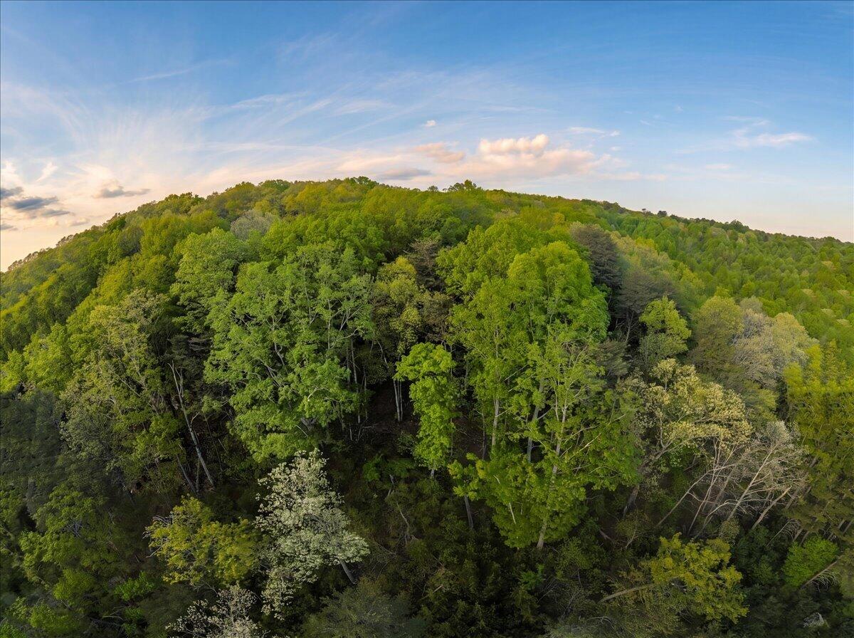 0 Sequatchie Mountain Road Sequatchie, TN 37374 - Photo 21 of 28 12-hf_20260418_013243_a5223b68-83e8-4d8c