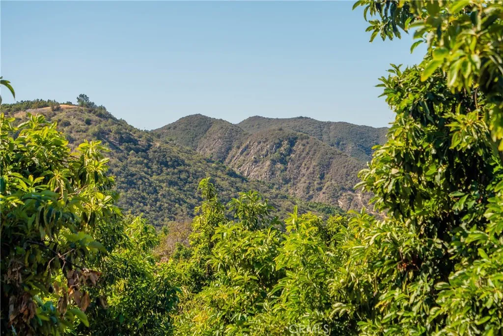 16 Camaron Road Temecula, CA 92590 - Photo 3 of 15 a view of a large garden with a mountain