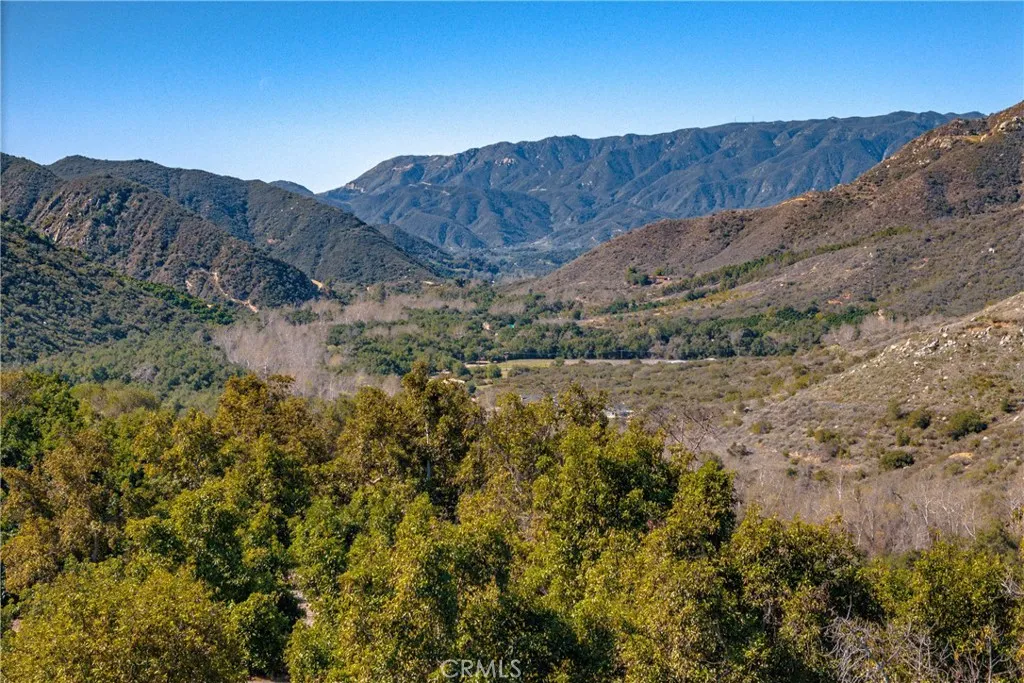 16 Camaron Road Temecula, CA 92590 - Photo 4 of 15 a view of a dry forest with mountains in the background