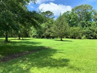 7369 Driggers Road Meggett, SC 29449 - Photo 2 of 19 IMG_0997