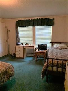 7369 Driggers Road Meggett, SC 29449 - Photo 11 of 19 IMG_1012