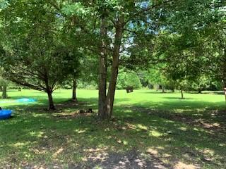 7369 Driggers Road Meggett, SC 29449 - Photo 15 of 19 IMG_0993