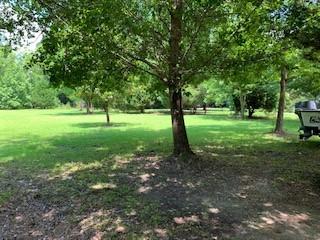 7369 Driggers Road Meggett, SC 29449 - Photo 16 of 19 IMG_0996