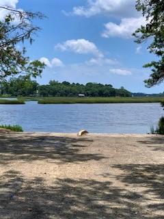7369 Driggers Road Meggett, SC 29449 - Photo 18 of 19 IMG_1028