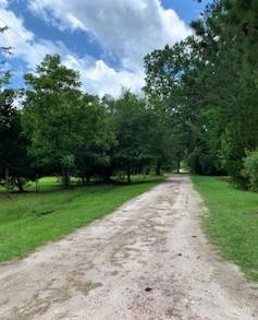 7369 Driggers Road Meggett, SC 29449 - Photo 5 of 19 IMG_1026