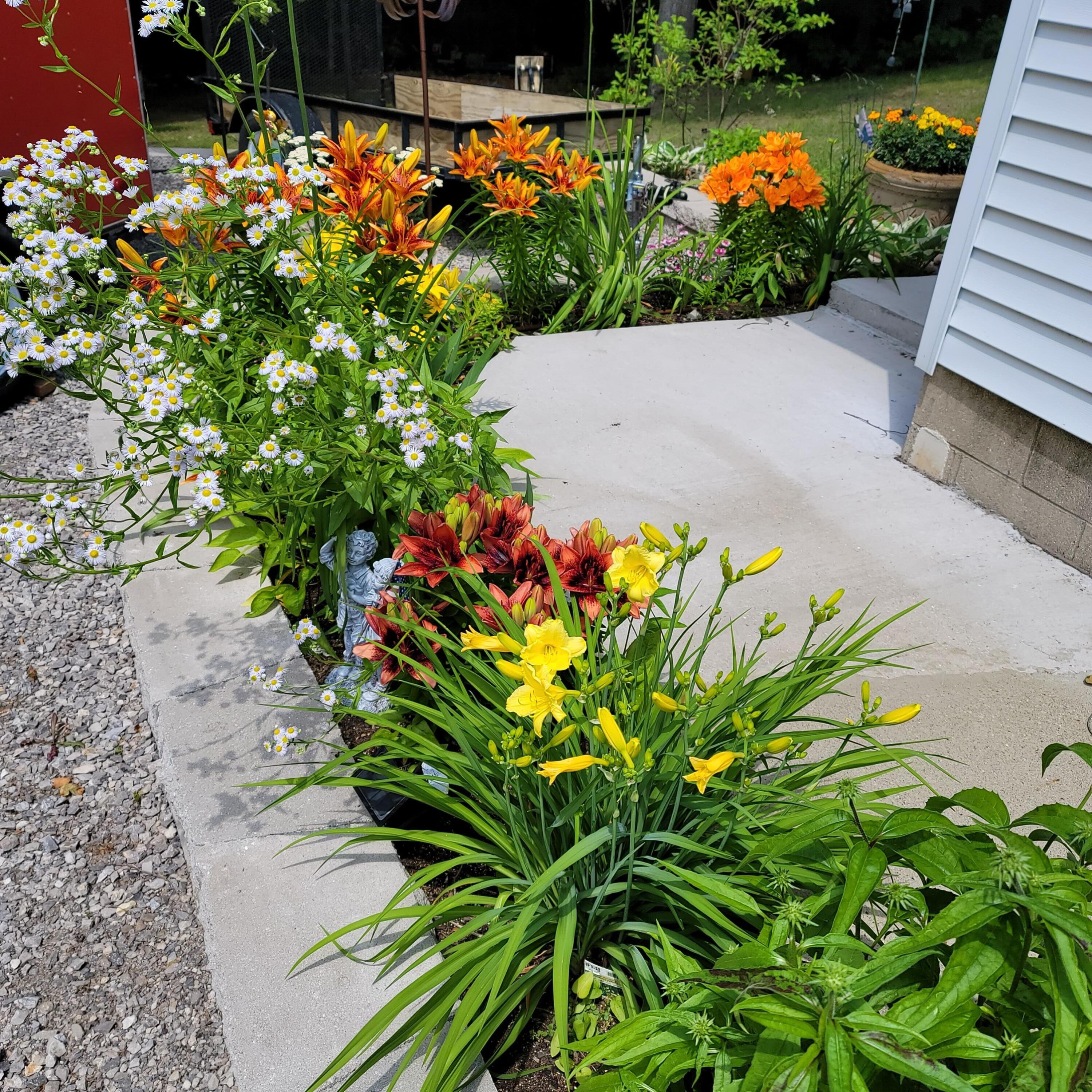 5500 Oley Lake Road Gaylord, MI 49735 - Photo 32 of 44 Colorful and bright