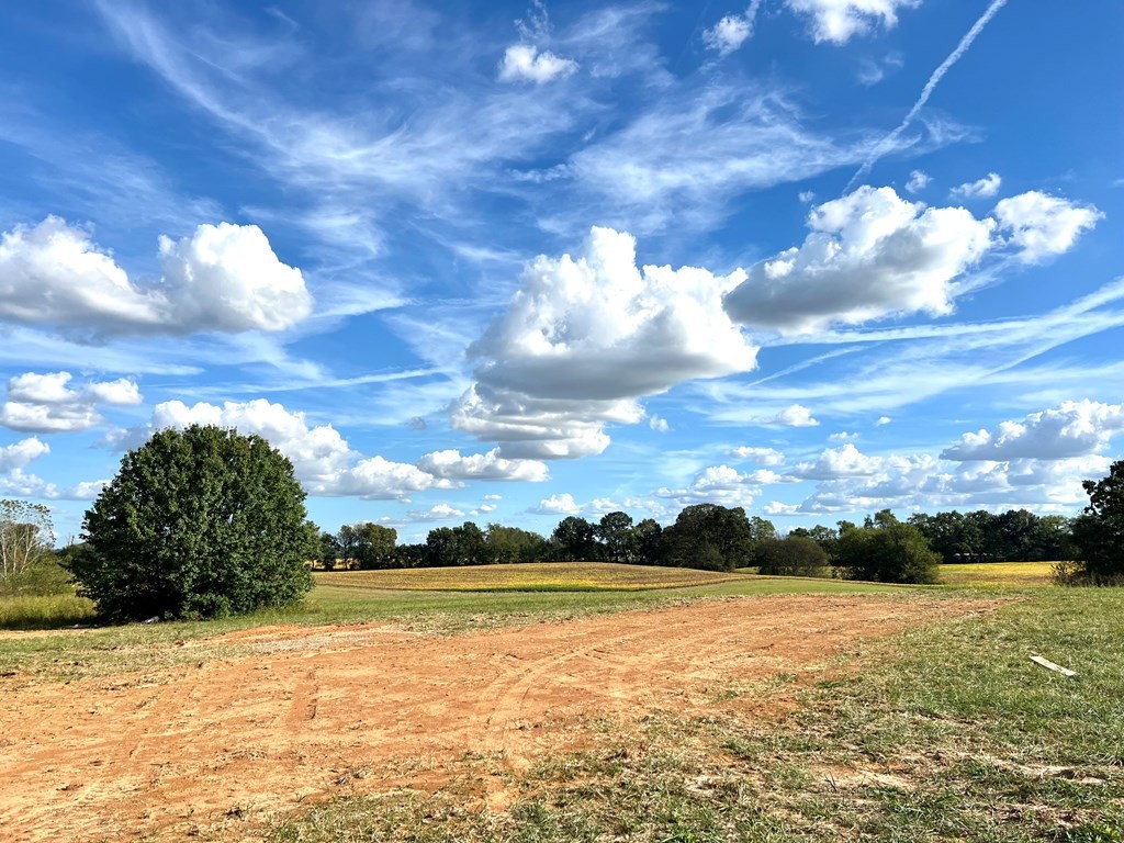 416 Old Major Road Hopkinsville, KY 42240 - Photo 2 of 29 a view of an ocean and beach