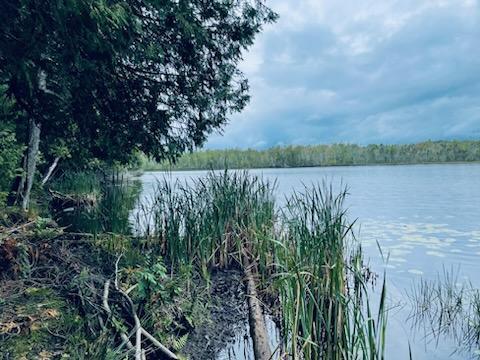 114 Millers Corner Road Palmyra, ME 04965 - Photo 15 of 20 IMG950156