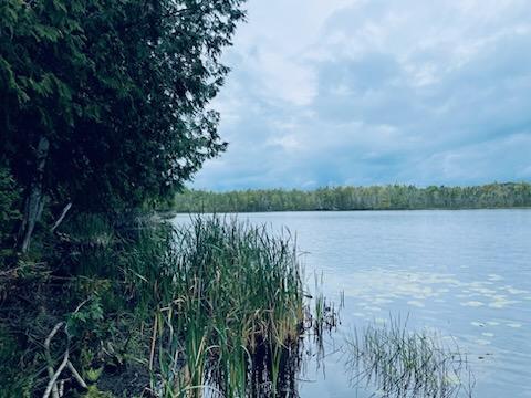 114 Millers Corner Road Palmyra, ME 04965 - Photo 16 of 20 IMG950157