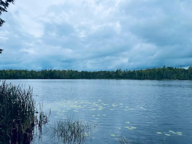 114 Millers Corner Road Palmyra, ME 04965 - Photo 17 of 20 IMG950158