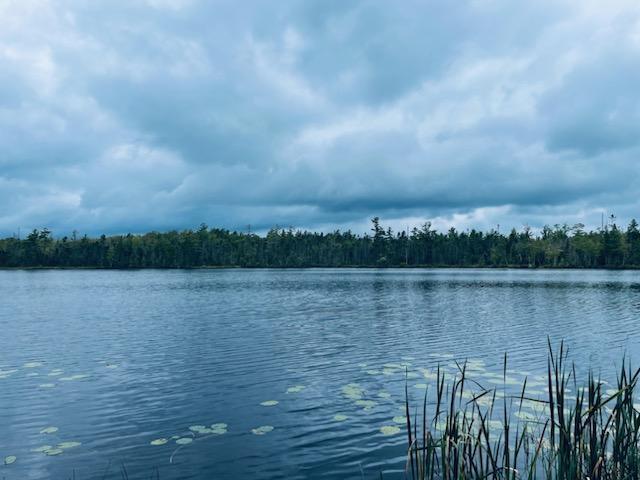 114 Millers Corner Road Palmyra, ME 04965 - Photo 18 of 20 IMG950159