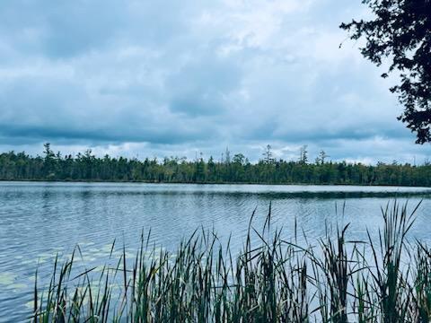 114 Millers Corner Road Palmyra, ME 04965 - Photo 19 of 20 IMG950160