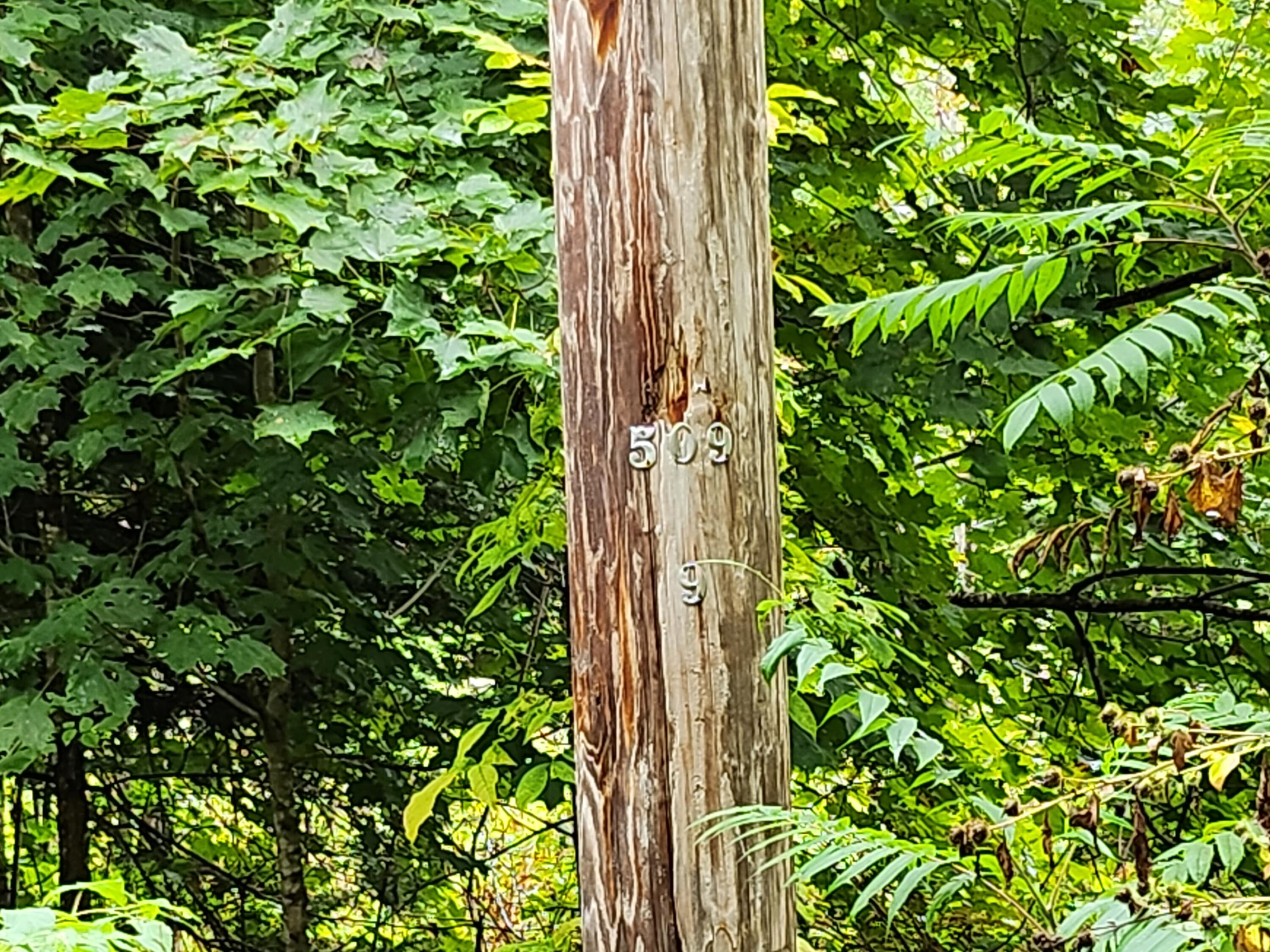 114 Millers Corner Road Palmyra, ME 04965 - Photo 3 of 20 20230914_092132