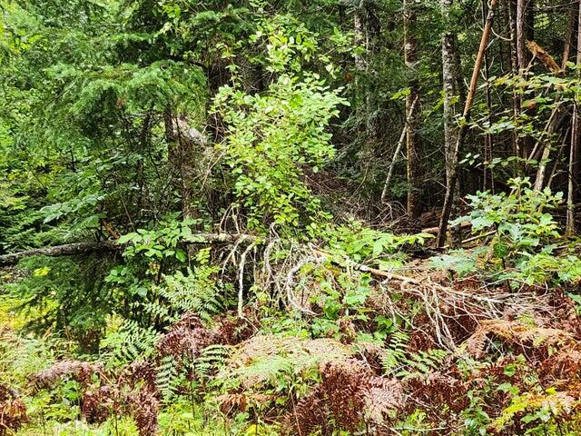 114 Millers Corner Road Palmyra, ME 04965 - Photo 7 of 20 20230914170153358145000000-o