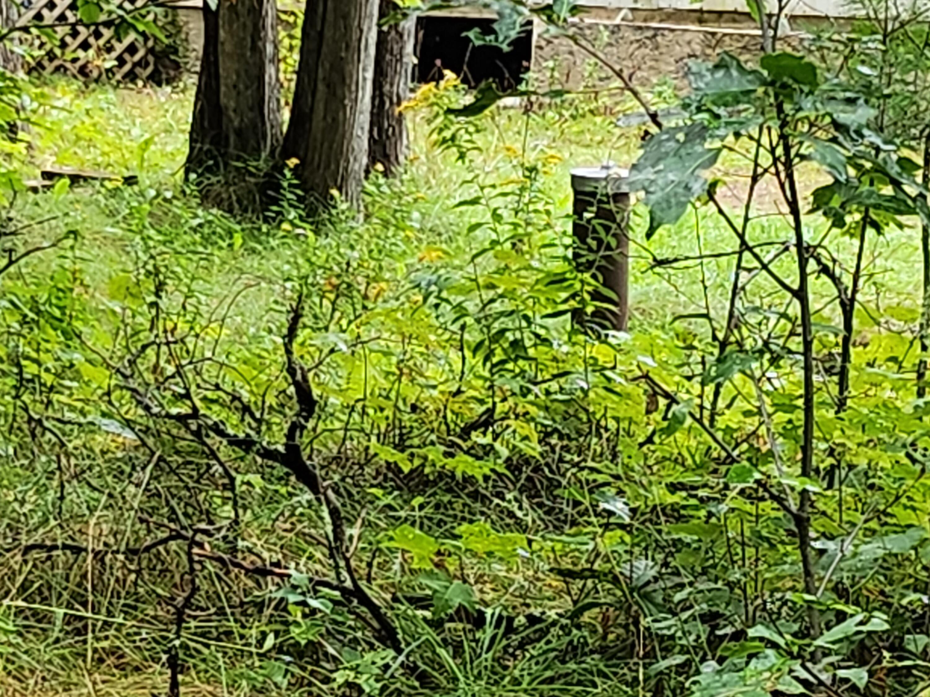 114 Millers Corner Road Palmyra, ME 04965 - Photo 8 of 20 20230914_091932