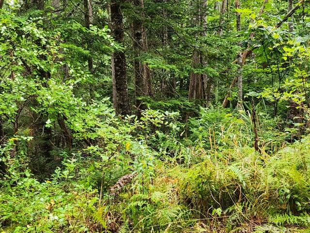 114 Millers Corner Road Palmyra, ME 04965 - Photo 9 of 20 20230914170326634579000000-o