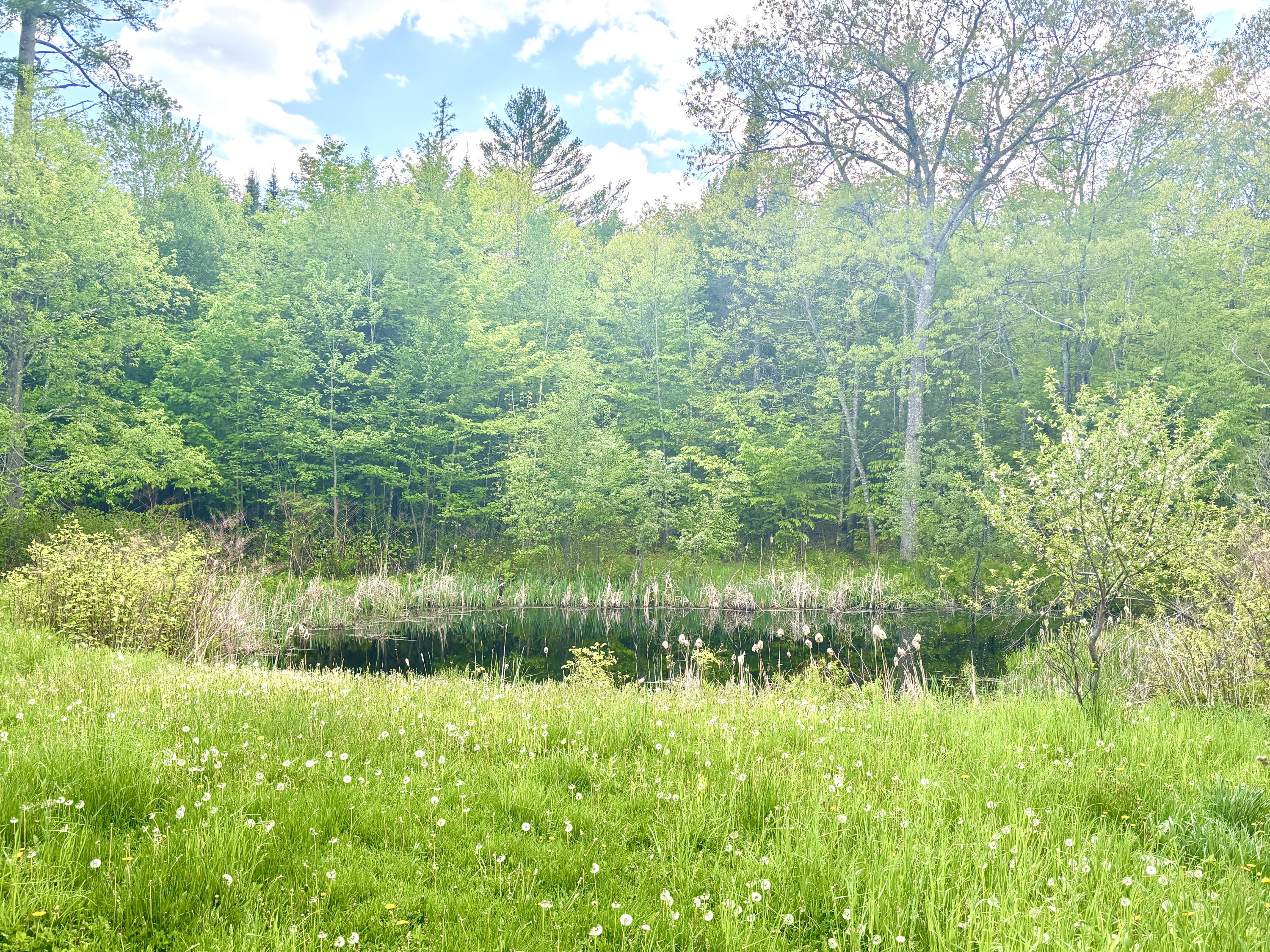 728 Sebec Village Road Sebec, ME 04481 - Photo 10 of 55 Pond