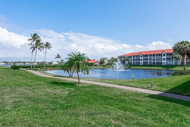 a view of a garden and palm tree