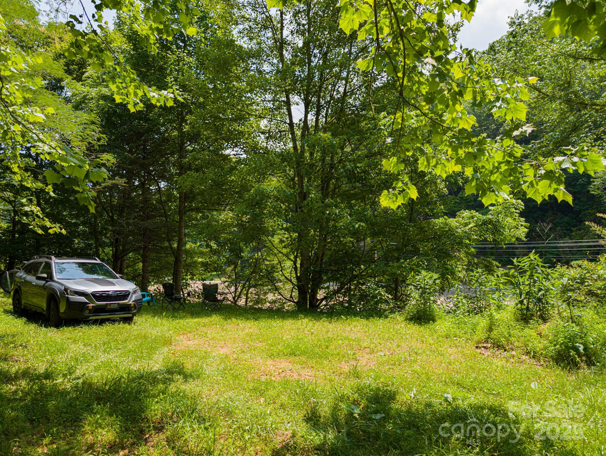 Tbd Phillips Road Burnsville, NC 28714 - Photo 12 of 30 Gallery Image 12