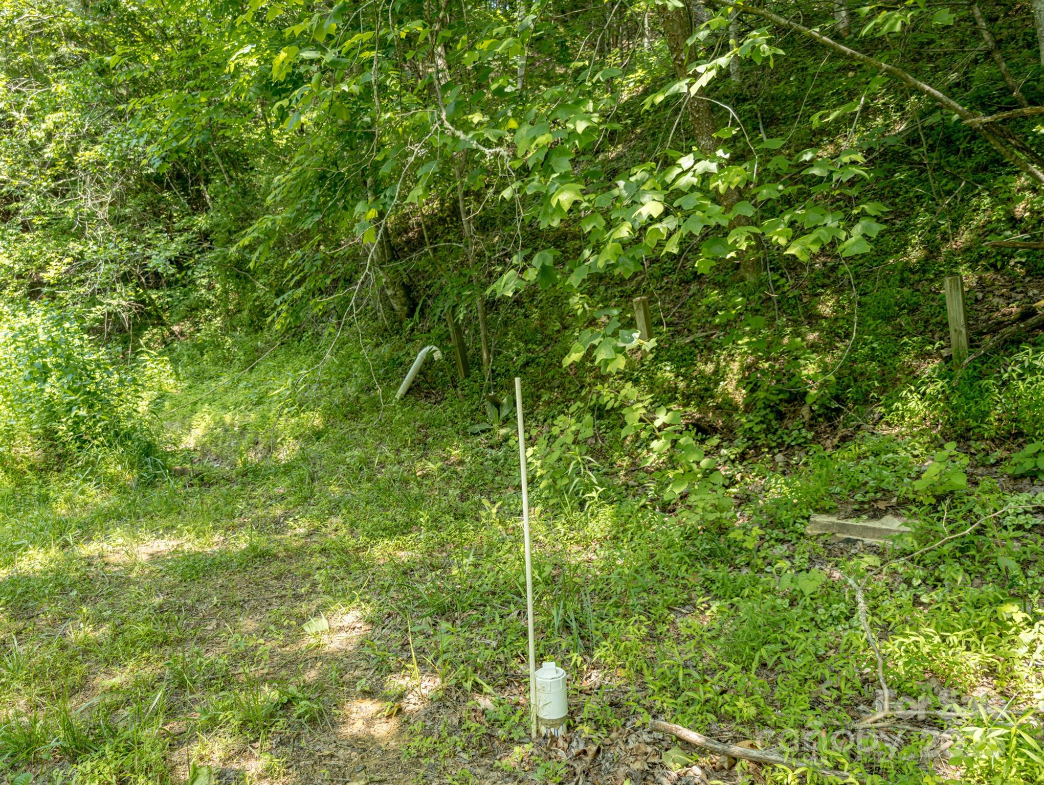 Tbd Phillips Road Burnsville, NC 28714 - Photo 21 of 30 Gallery Image 21