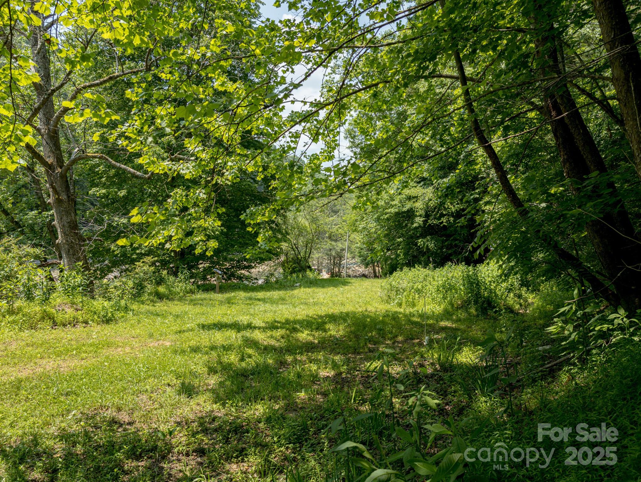 Tbd Phillips Road Burnsville, NC 28714 - Photo 23 of 30 Gallery Image 23