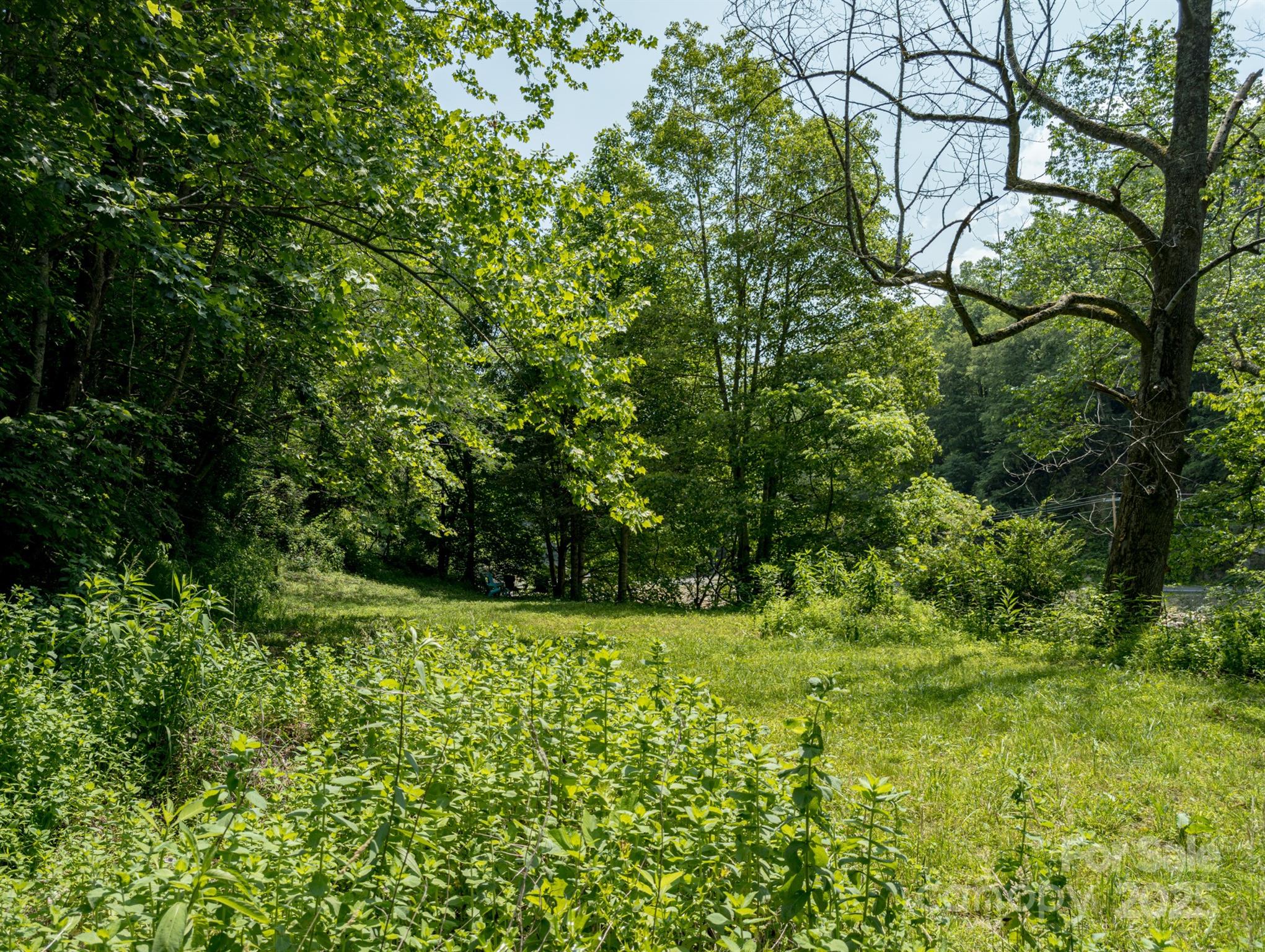 Tbd Phillips Road Burnsville, NC 28714 - Photo 28 of 30 Gallery Image 28