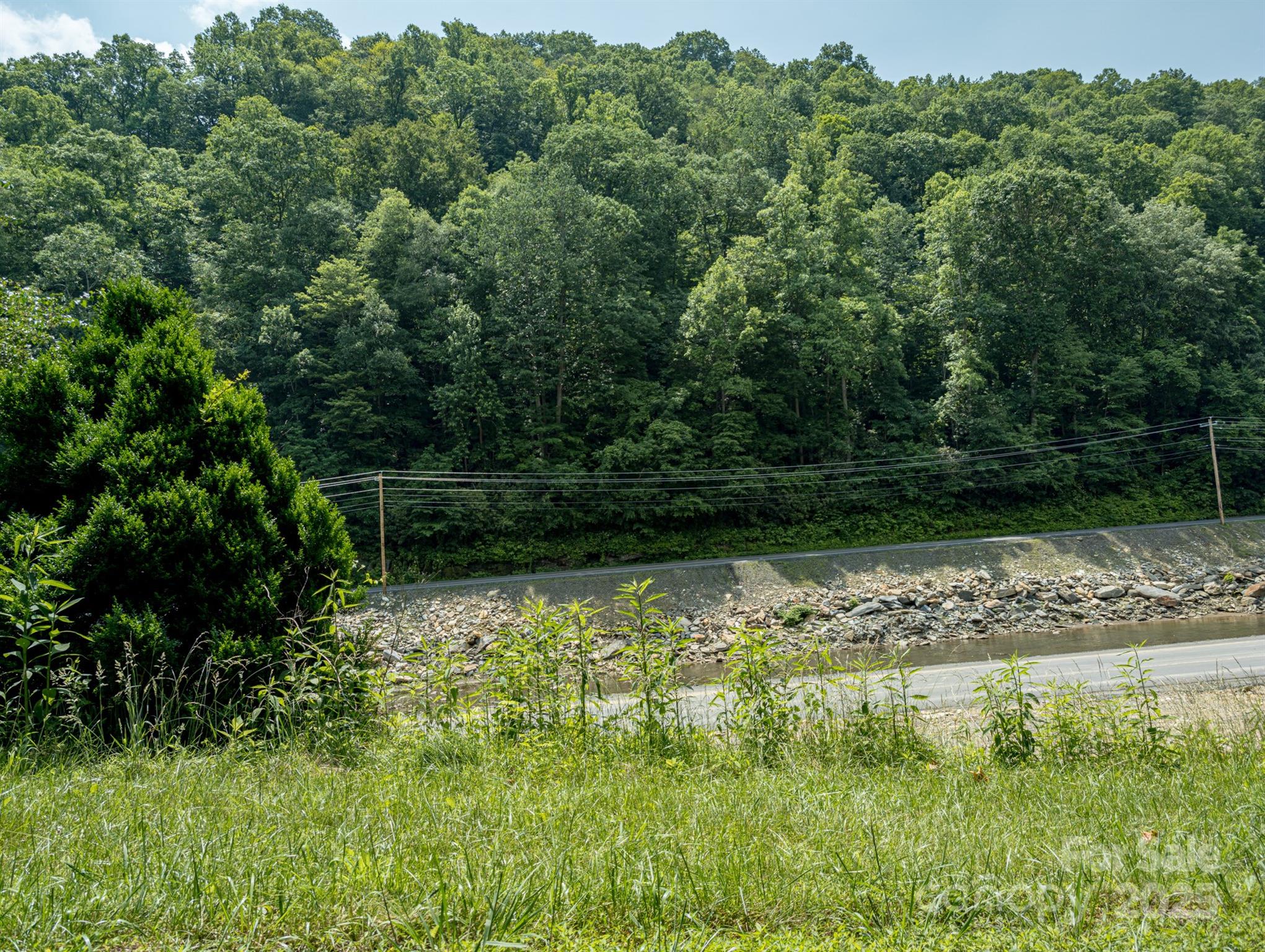 Tbd Phillips Road Burnsville, NC 28714 - Photo 29 of 30 Gallery Image 29