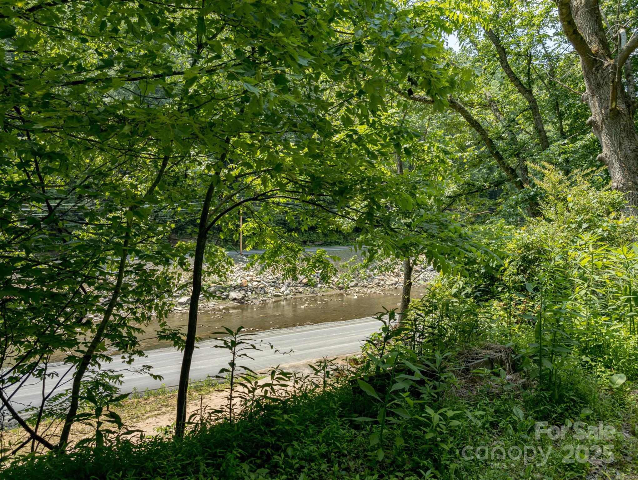 Tbd Phillips Road Burnsville, NC 28714 - Photo 5 of 30 Gallery Image 5