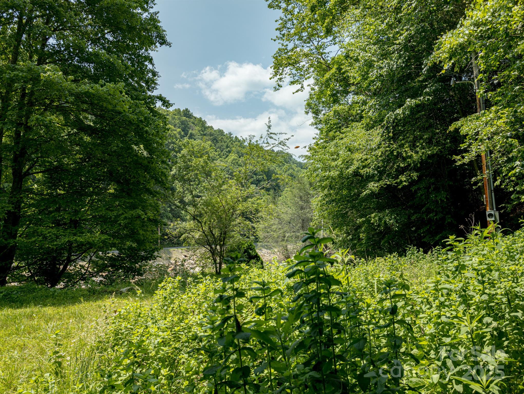 Tbd Phillips Road Burnsville, NC 28714 - Photo 6 of 30 Gallery Image 6