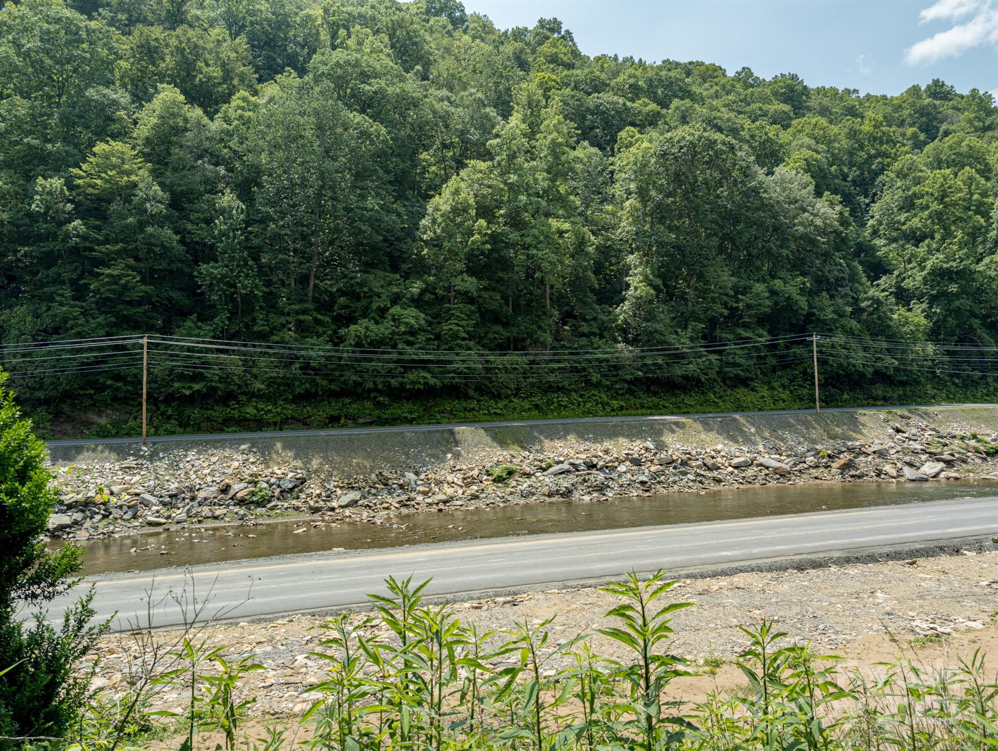 Tbd Phillips Road Burnsville, NC 28714 - Photo 7 of 30 Gallery Image 7