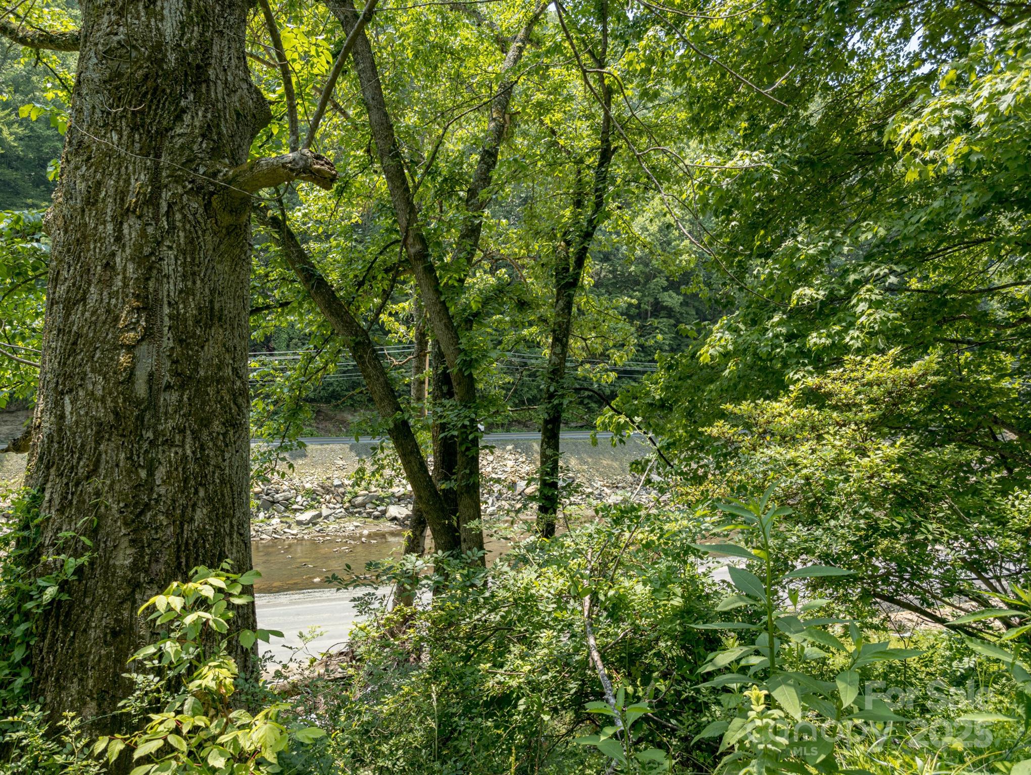 Tbd Phillips Road Burnsville, NC 28714 - Photo 10 of 30 Gallery Image 10