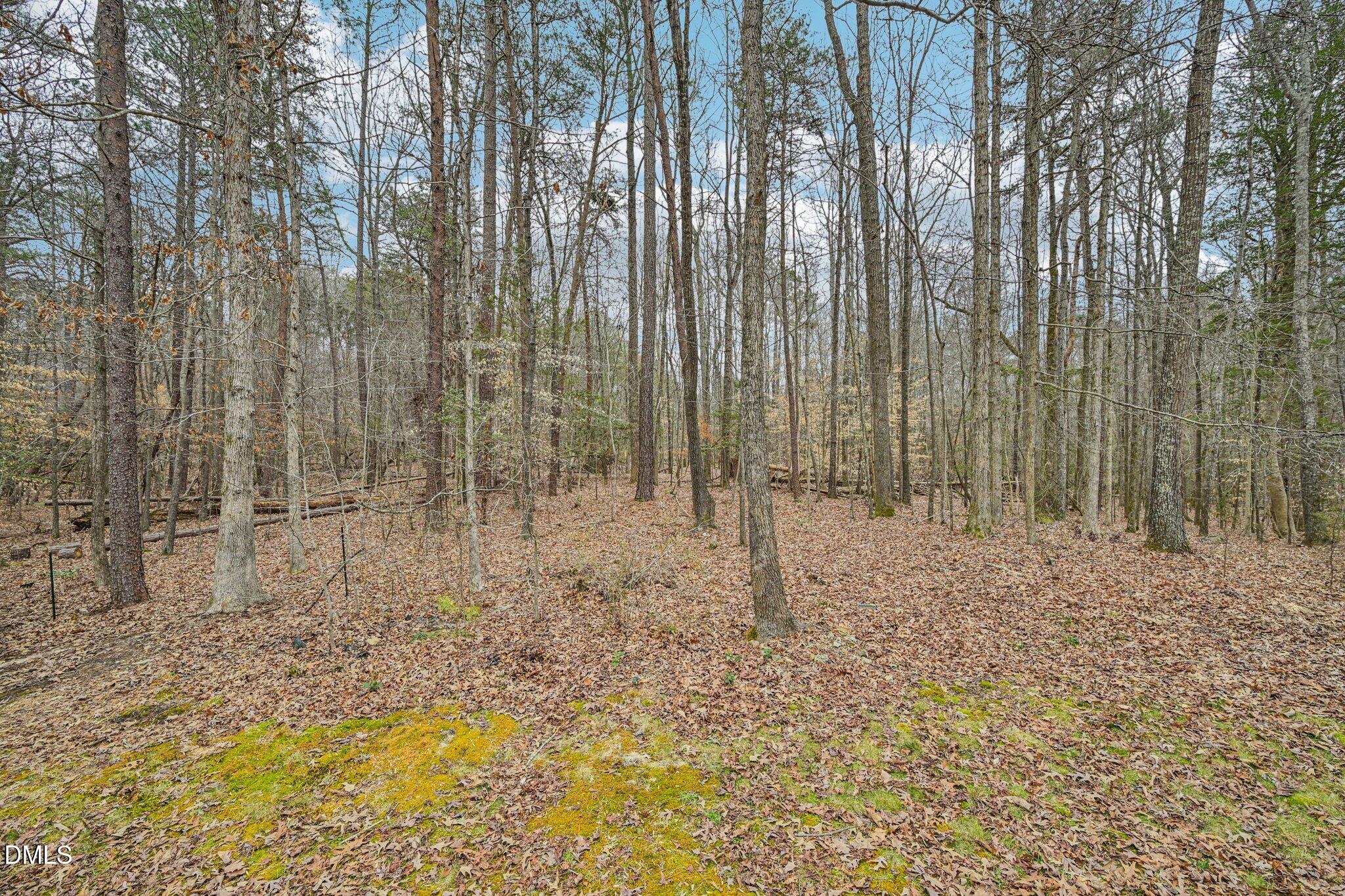 1018 Christy Ridge Court Rougemont, NC 27572 - Photo 28 of 36 47-web-or-mls-Christy Ridge Ct-S0303-047