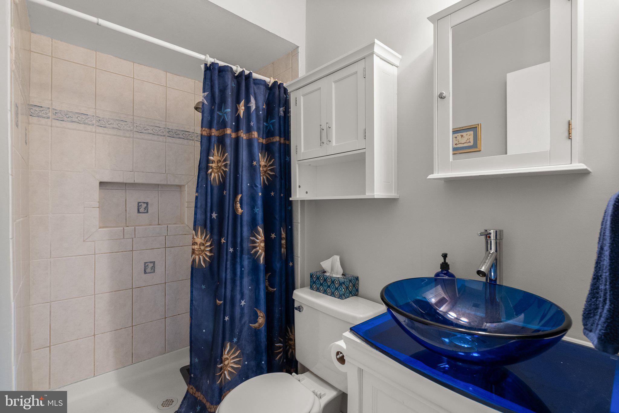 20249 Maple Leaf Court Montgomery Village, MD 20886 - Photo 21 of 30 a bathroom with a sink toilet and shower