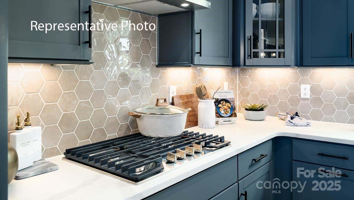 3044 Canvasback Way Indian Trail, NC 28079 - Photo 7 of 43 a kitchen with a stove and a white cabinet