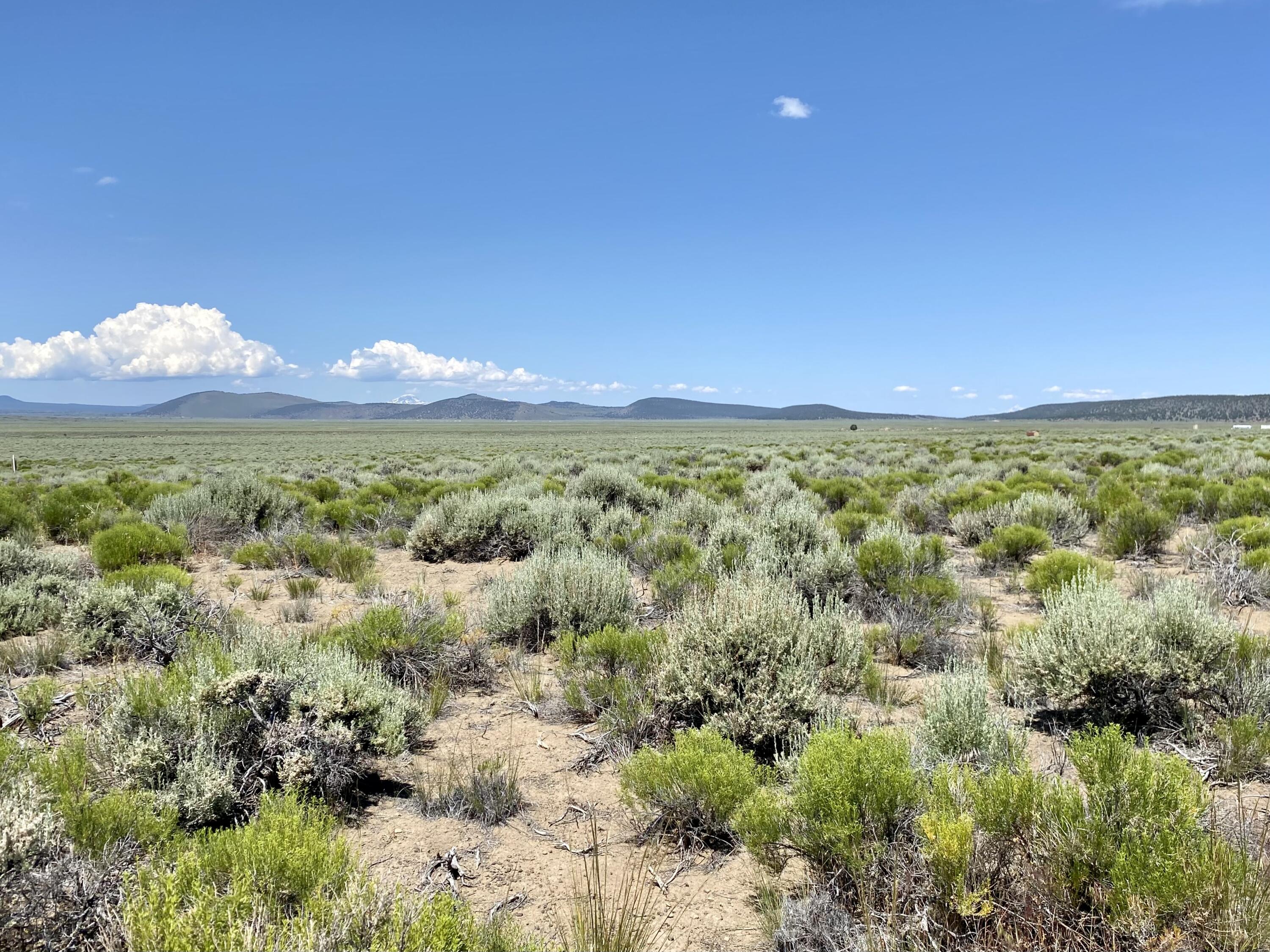 View across property