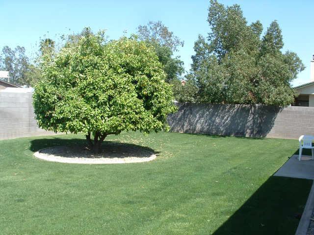 8846 West Osborn Road Phoenix, AZ 85037 - Photo 4 of 4 Back yard