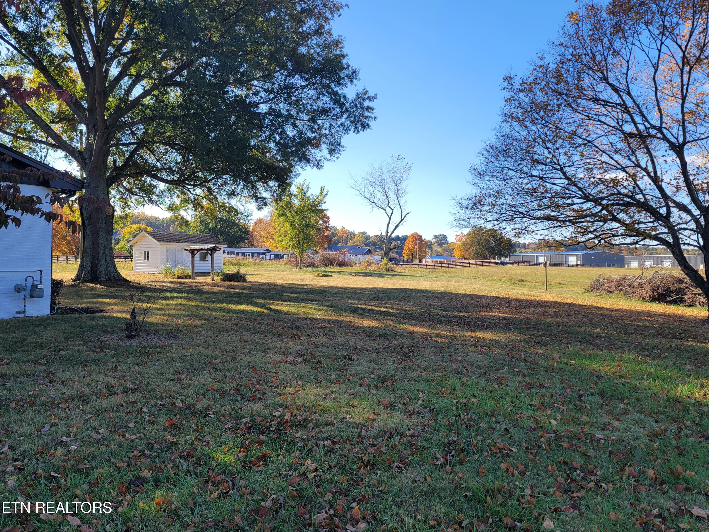 815 East Nails Creek Road Seymour, TN 37865 - Photo 28 of 35 Backyard