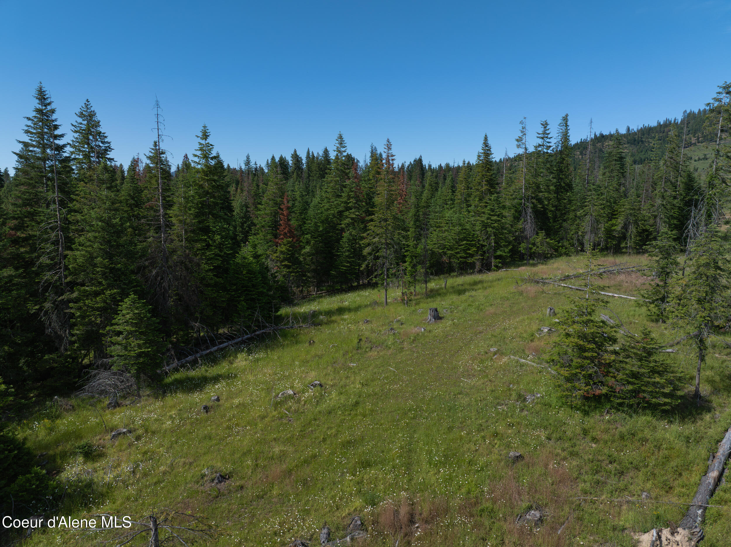6 Harvard Id 83834 Harvard, ID 83834 - Photo 6 of 32 Cow Creek Tweedy (20 of 29)